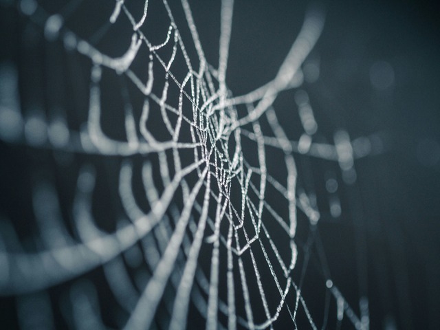 A Web Scraping Project using Scrapy